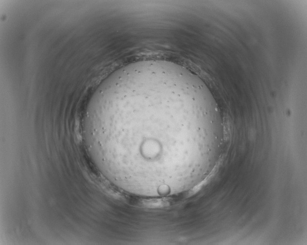 X0000080730187200612150912