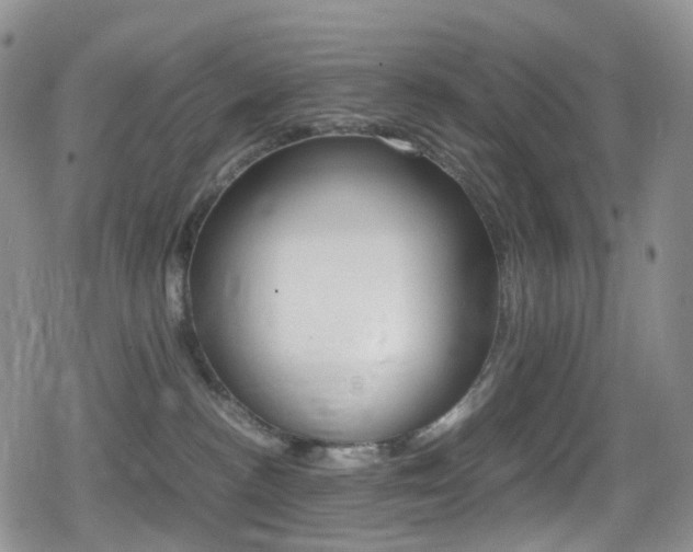 X0000080730188200612150912