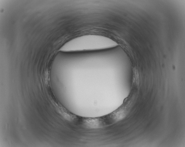 X0000080730189200612150912