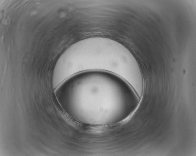 X0000080730190200612150912