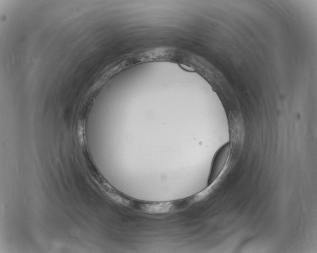 X0000080730191200612150912