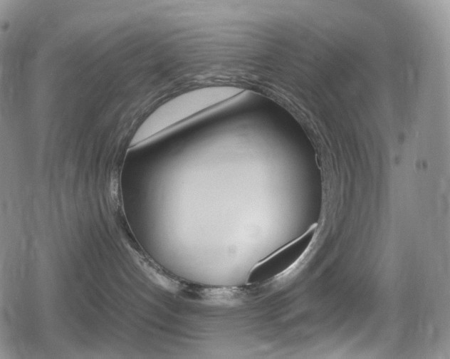 X0000080730192200612150912