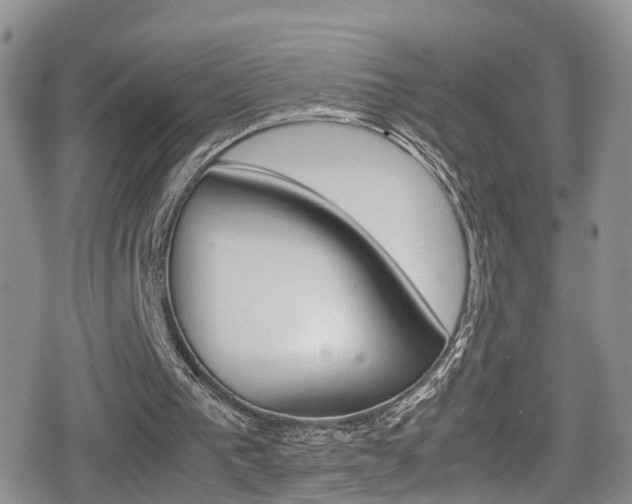 X0000080730193200612150912