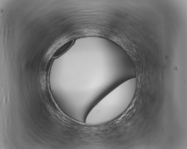 X0000080730194200612150912