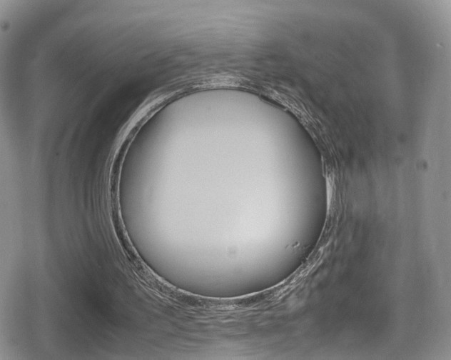 X0000080730195200612150912