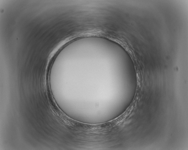 X0000080730196200612150912