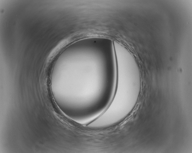 X0000080730197200612150912