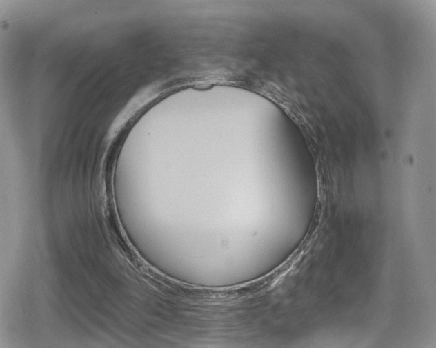 X0000080730198200612150912