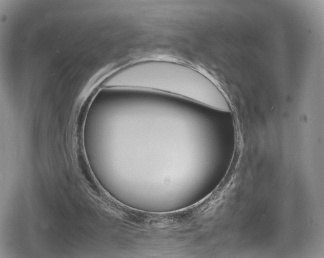 X0000080730199200612150912