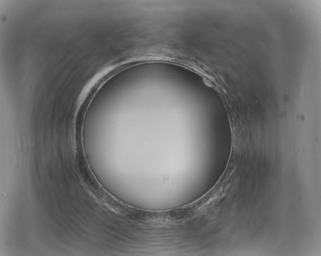 X0000080730200200612150912