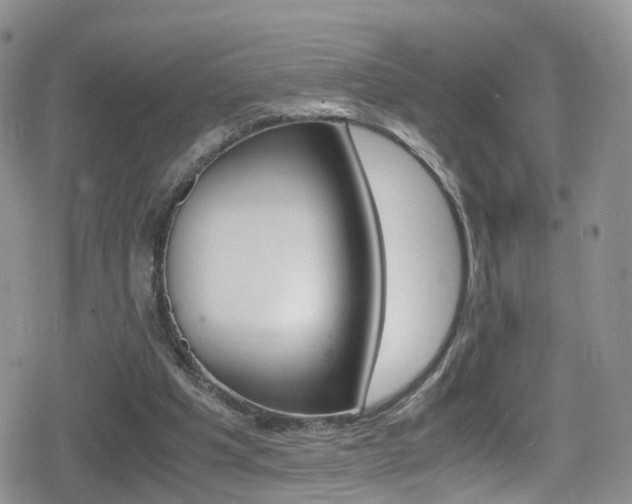 X0000080730201200612150912