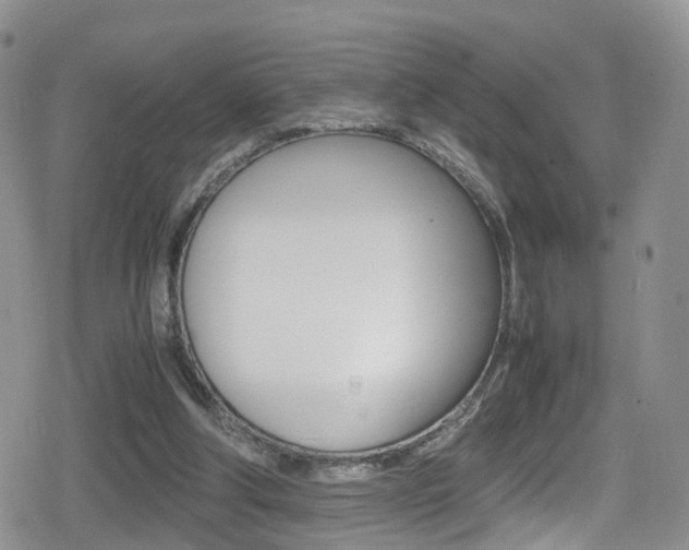 X0000080730202200612150912