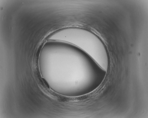 X0000080730203200612150912