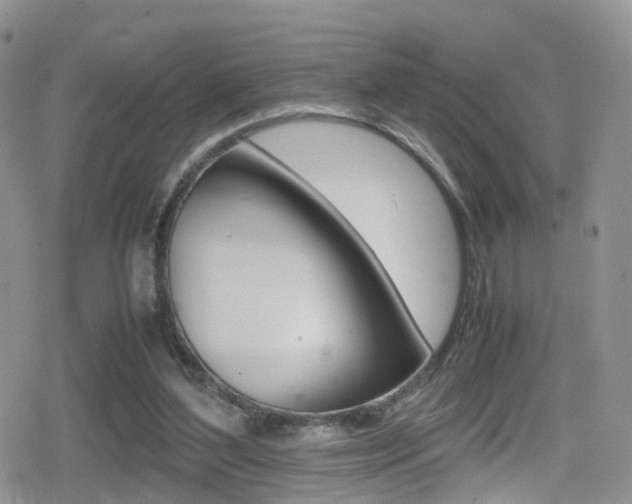 X0000080730204200612150911