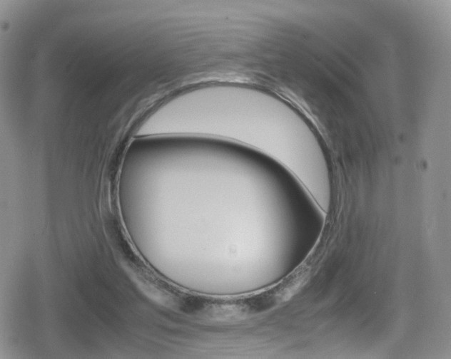 X0000080730205200612150911