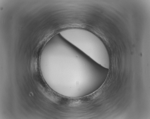 X0000080730206200612150911