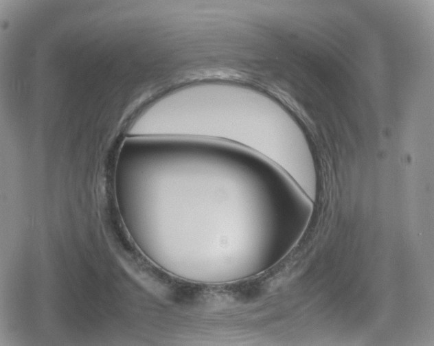 X0000080730207200612150911