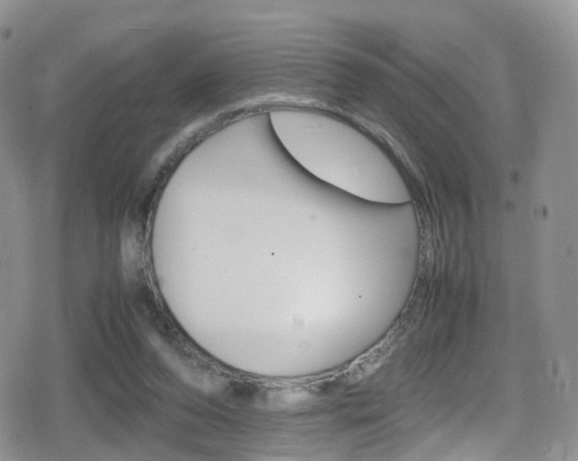 X0000080730208200612150911