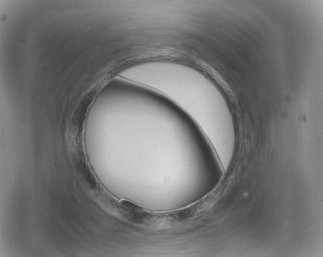 X0000080730209200612150911