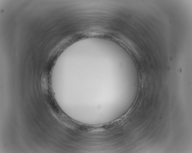 X0000080730210200612150911