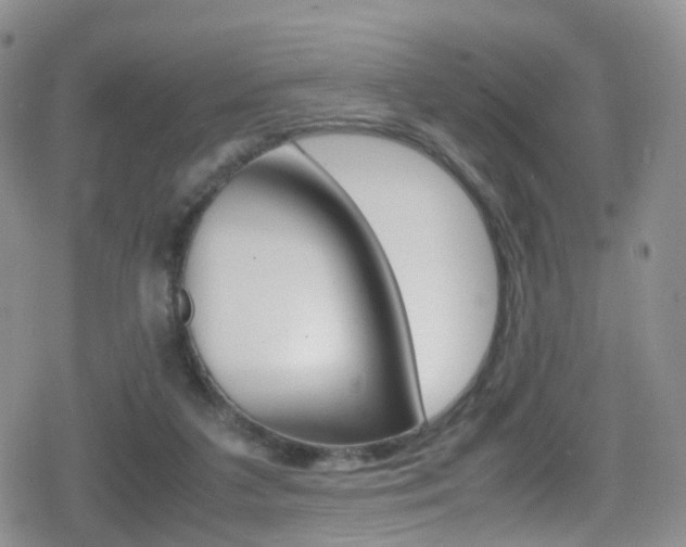 X0000080730211200612150911