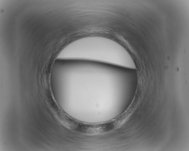 X0000080730213200612150911