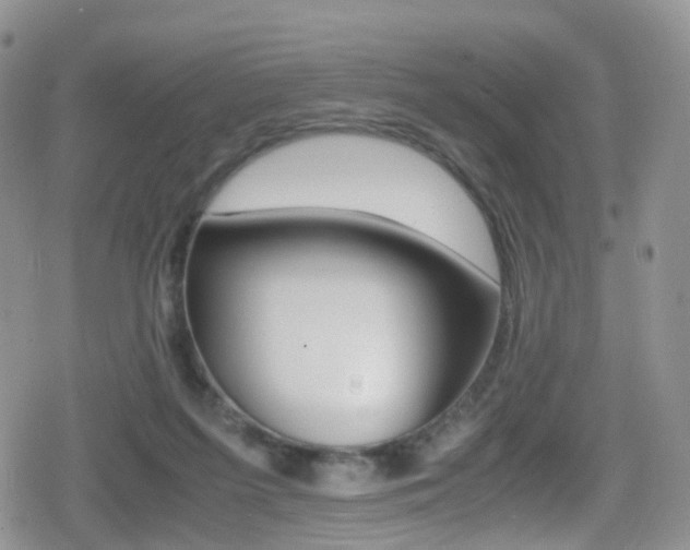 X0000080730215200612150911