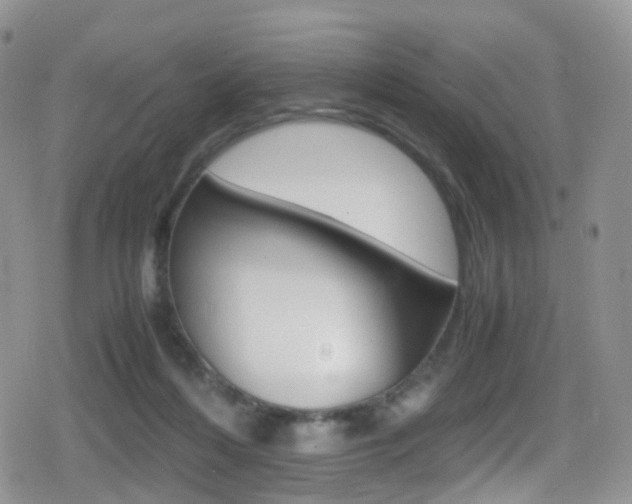 X0000080730216200612150911