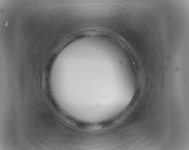 X0000080730217200612150911