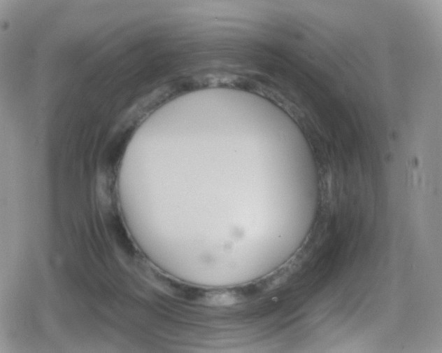 X0000080730218200612150911