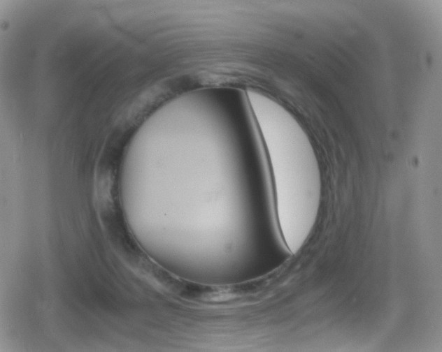 X0000080730219200612150911