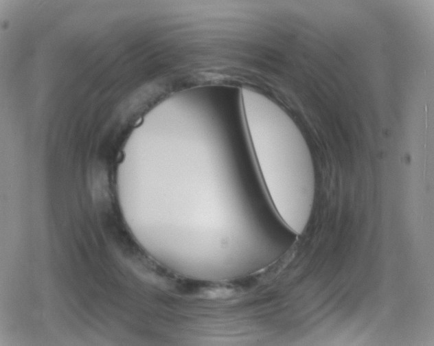 X0000080730220200612150911