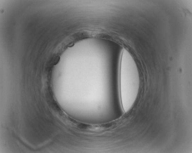 X0000080730221200612150911