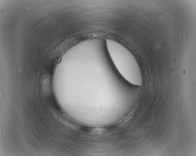 X0000080730222200612150911