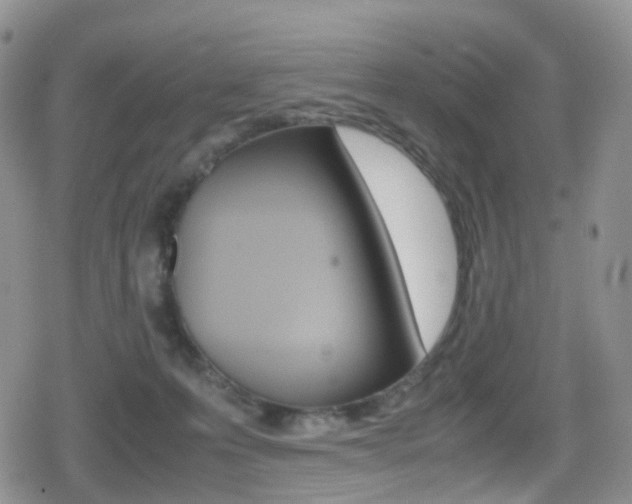 X0000080730223200612150911