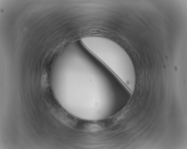 X0000080730224200612150911