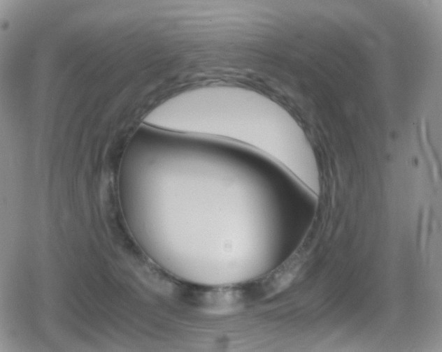 X0000080730225200612150911