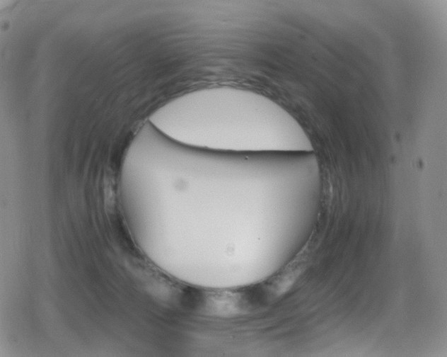 X0000080730226200612150911