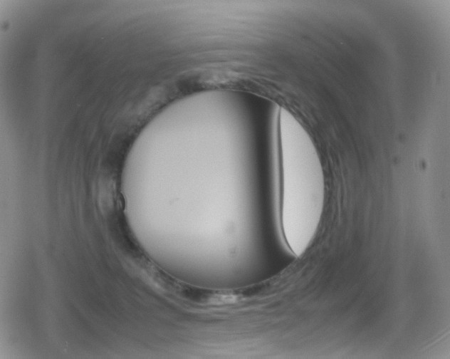 X0000080730227200612150911