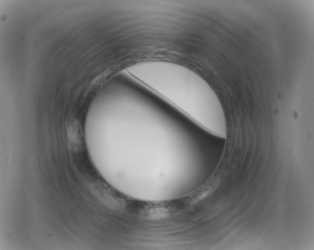 X0000080730228200612150911