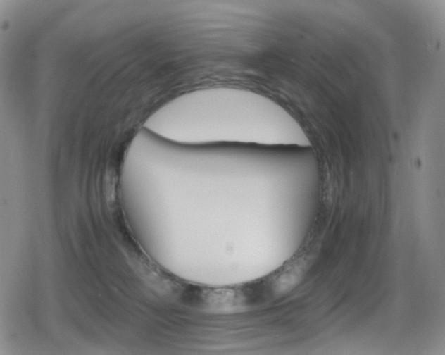 X0000080730230200612150911