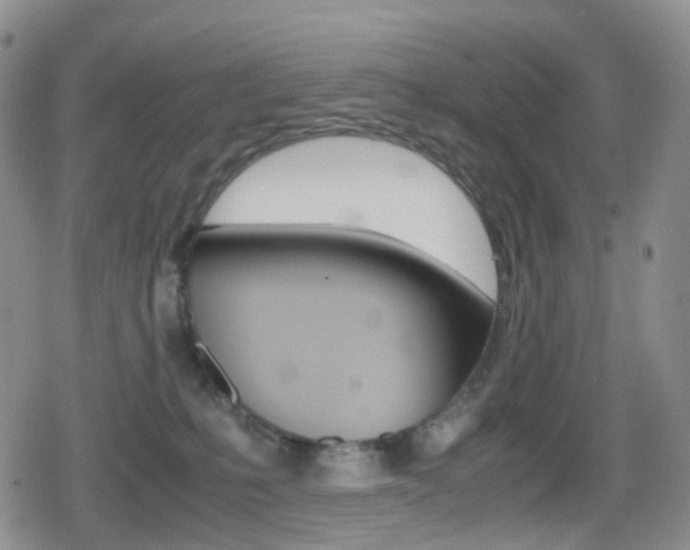 X0000080730231200612150911