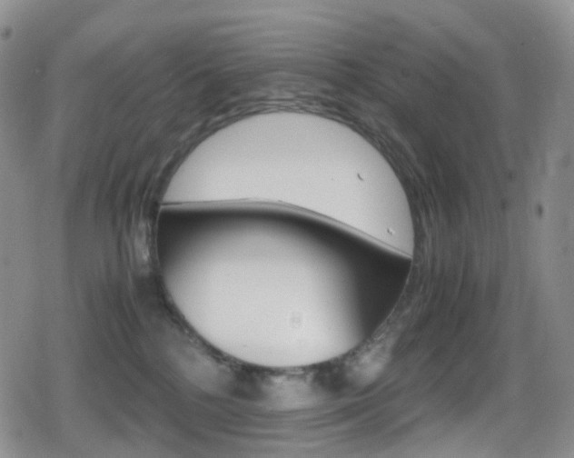 X0000080730232200612150911