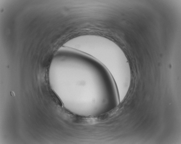 X0000080730233200612150911