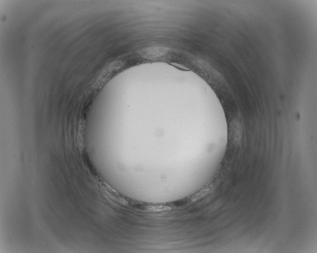 X0000080730234200612150911