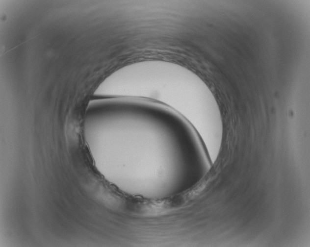 X0000080730235200612150911