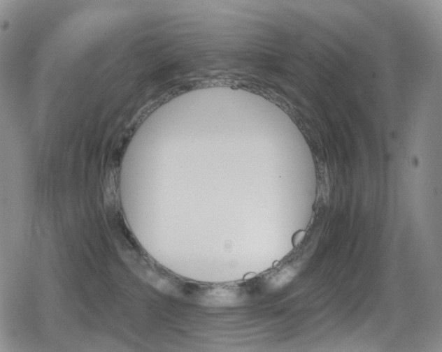 X0000080730236200612150911