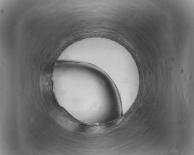 X0000080730237200612150911