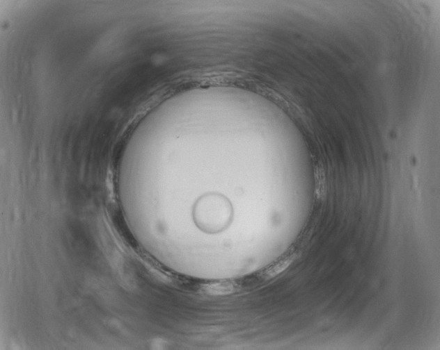 X0000080730238200612150911