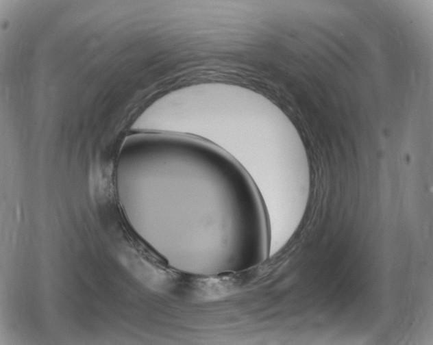 X0000080730239200612150911